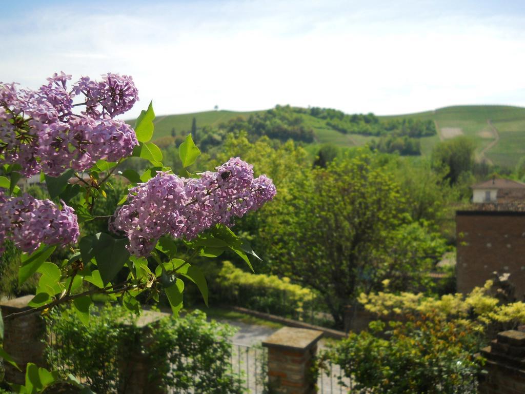 Tenuta Calabiana Diano dʼAlba Стая снимка