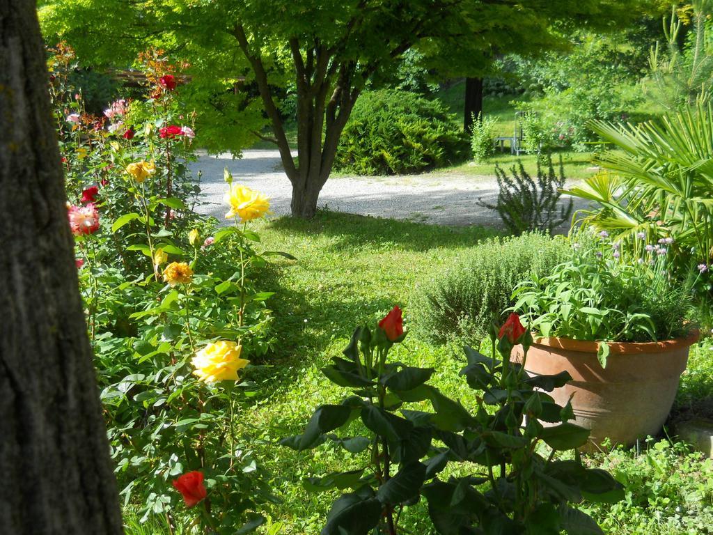 Tenuta Calabiana Diano dʼAlba Стая снимка
