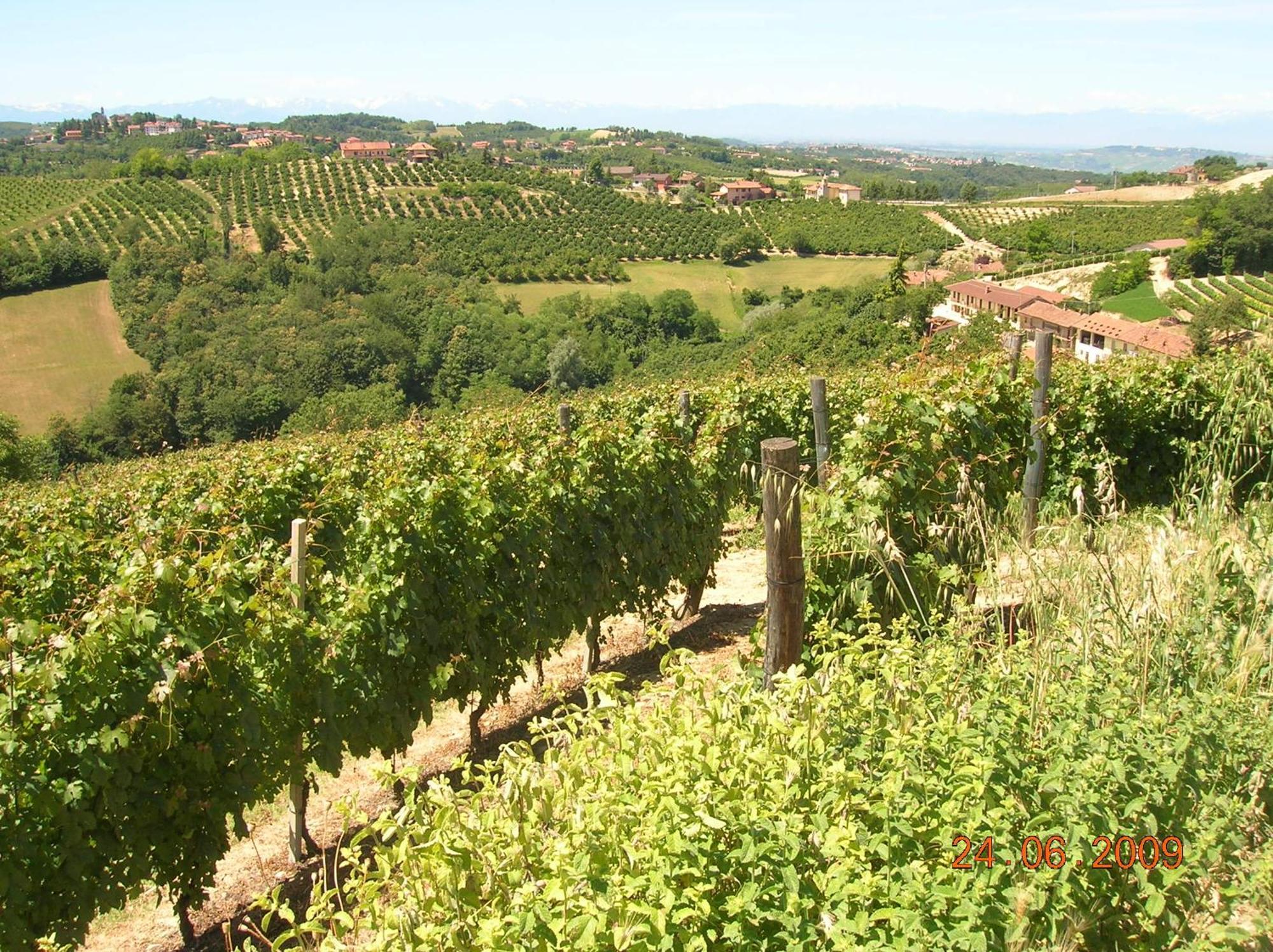 Tenuta Calabiana Diano dʼAlba Екстериор снимка