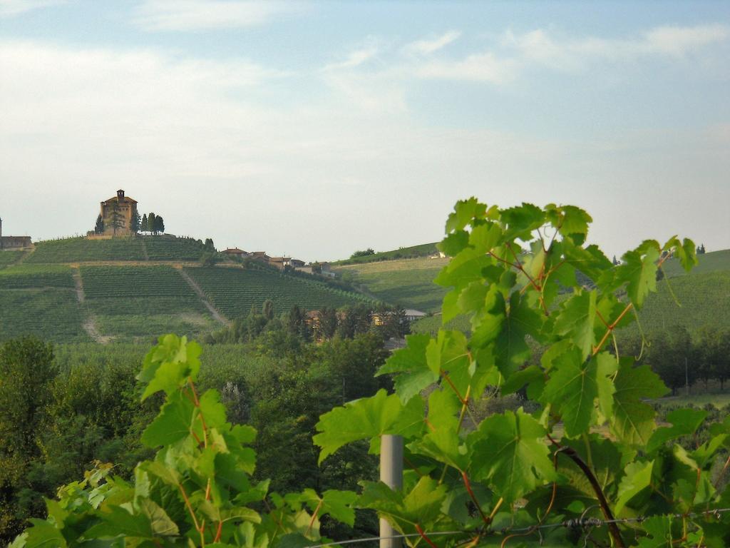 Tenuta Calabiana Diano dʼAlba Стая снимка